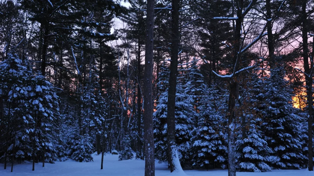 thumbnail_DSC_8440.jpg