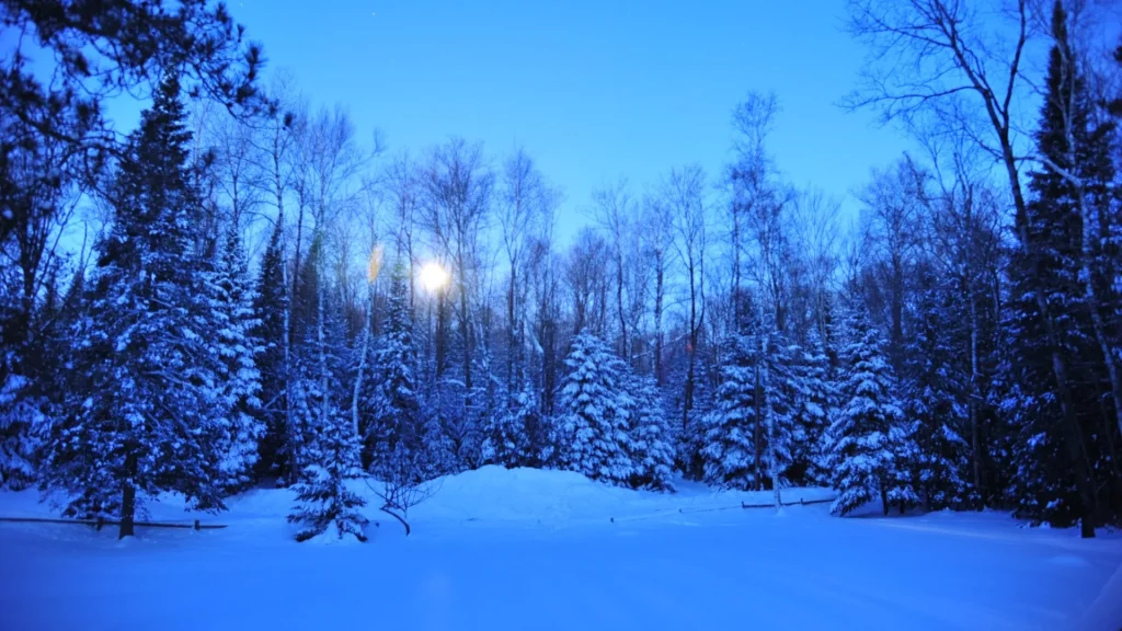 thumbnail_DSC_8481.jpg