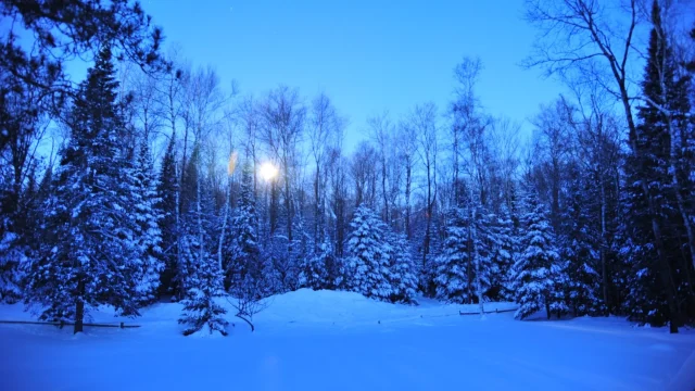 thumbnail_DSC_8481.jpg
