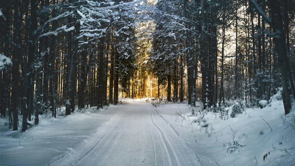 winter2.jpeg
