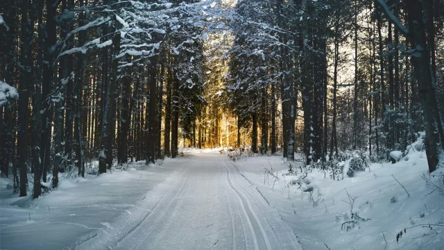 winter2.jpeg